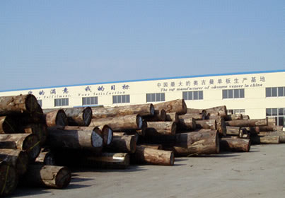 �D���Ї����ĊW�������Іΰ����a(ch��n)�S�� �c���ɷŴ�