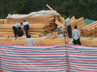 �D����������ľ���������ľ���݈����DƬ �c���ɷŴ�