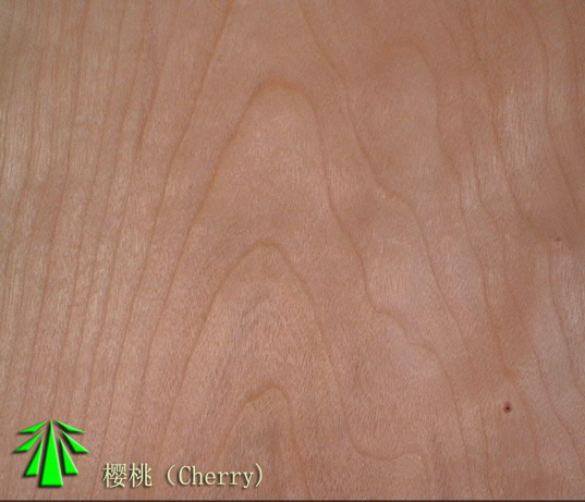 �D������ �c(di��n)���ɷŴ�