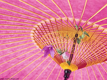 �D������ �c(di��n)���ɷŴ�