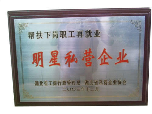 �D������˽�I��I(y��) �c(di��n)���ɷŴ�