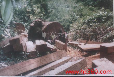 �D���һ�о �c���ɷŴ�