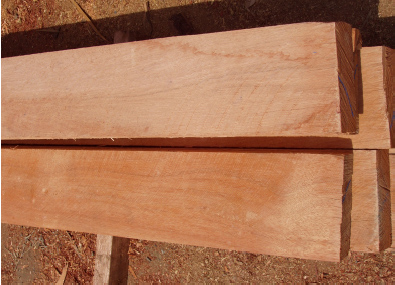 �D������ �c���ɷŴ�