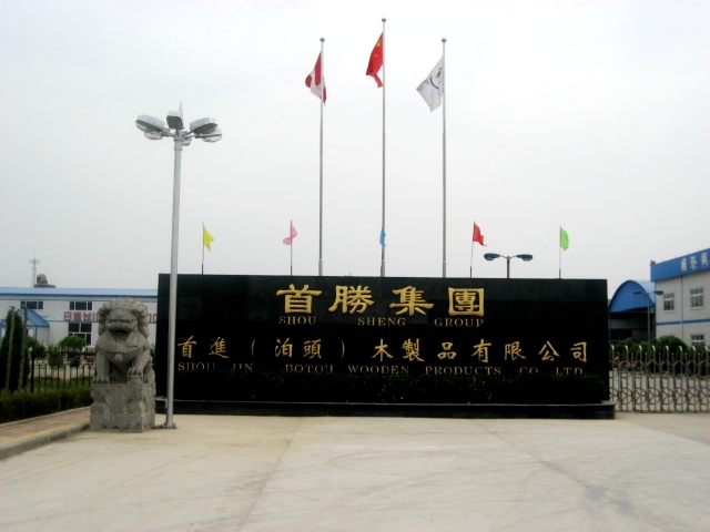 �D����˾���� �c���ɷŴ�