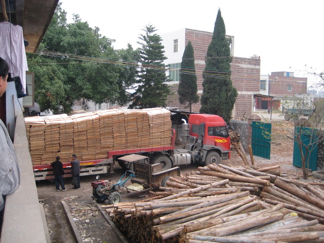 �D���l(f��)܇ �c���ɷŴ�