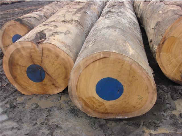 �D������R �c(di��n)���ɷŴ�