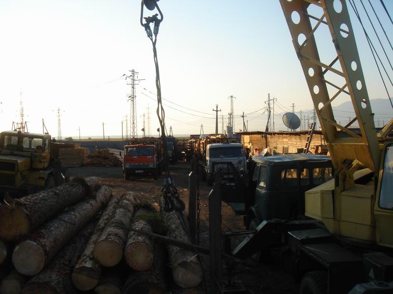 �D�����_˹����ԭľ������ �c(di��n)���ɷŴ�