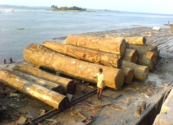 �D���\(y��n)؛�g�� �c(di��n)���ɷŴ�