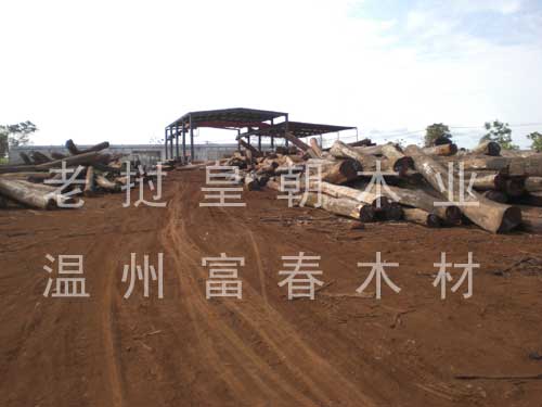 �D�����ݸ����ϓ�ľ�Ĺ��Sһ�� �c���ɷŴ�