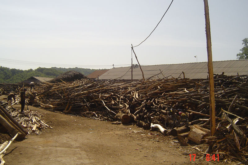 �D��ľƬ���a(ch��n)���� �c���ɷŴ�