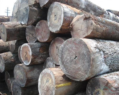 �D������ľ �c(di��n)���ɷŴ�