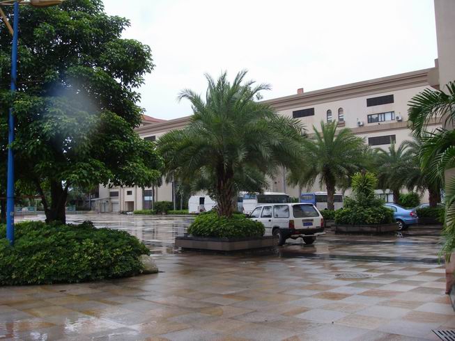 �D���V������ľ�I(y��)���޹�˾ �c(di��n)���ɷŴ�