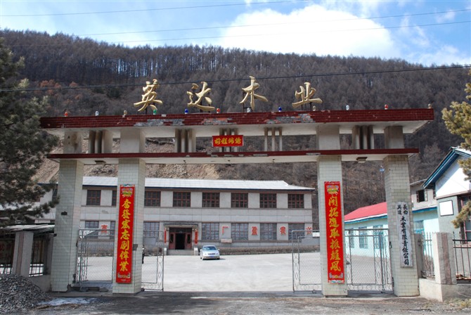 �D��Ӣ�_(d��)ľ�I(y��) �c(di��n)���ɷŴ�