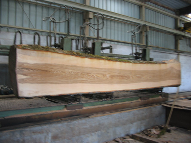 �D��ԭľ�ӹ� �c���ɷŴ�