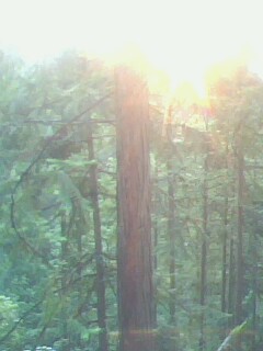 �D��ɼľ �c(di��n)���ɷŴ�