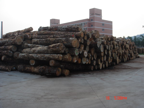 �D��ԭľ�^(q��) �c(di��n)���ɷŴ�