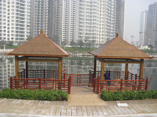 �D������ľ-ľ��ͤ �c(di��n)���ɷŴ�