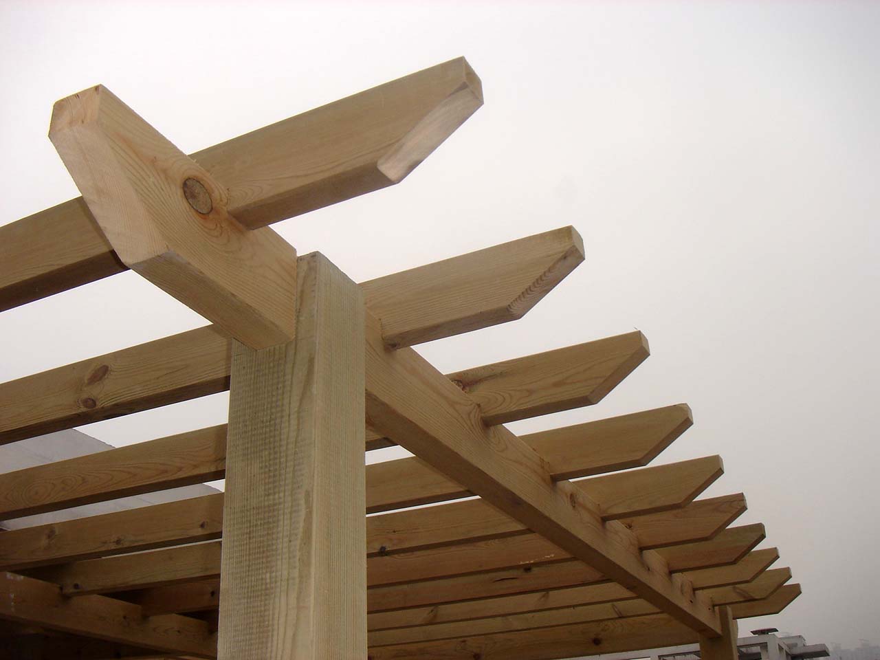 �D������ �c(di��n)���ɷŴ�