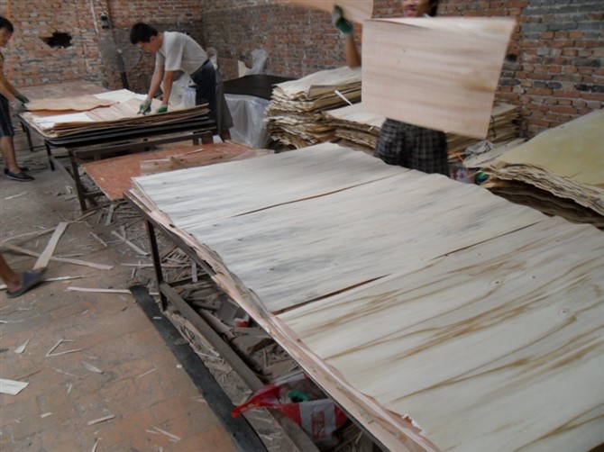 �D���������ڹ��� �c(di��n)���ɷŴ�