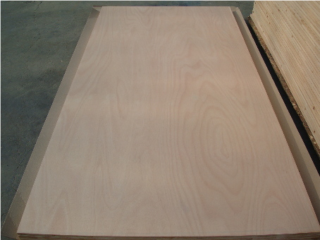 �D����(x��)ľ������ �c(di��n)���ɷŴ�