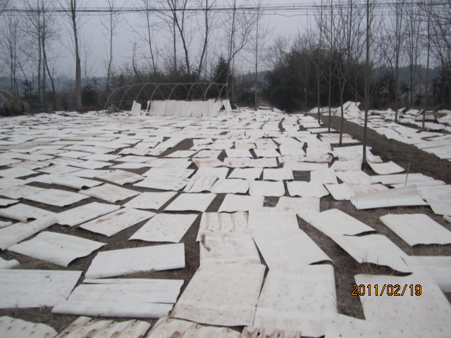 �D�����ľ�ΰ� �c���ɷŴ�