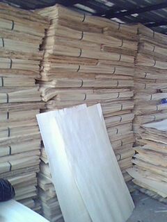 �D����ľ�ΰ� �c���ɷŴ�