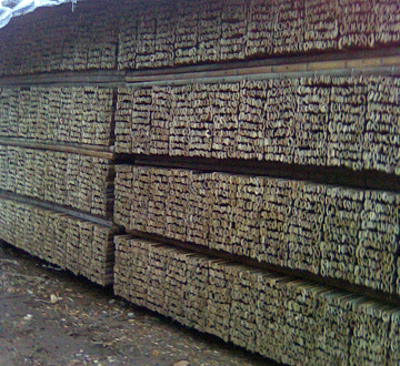 �D����ܰ� �c���ɷŴ�