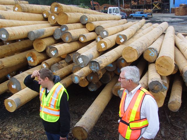 �D��ԭľ�z�� �c���ɷŴ�