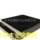 �D���ߏ��Ƚ���ģ�� �c���ɷŴ�