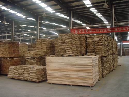 �D����(x��)ľ���� �c(di��n)���ɷŴ�