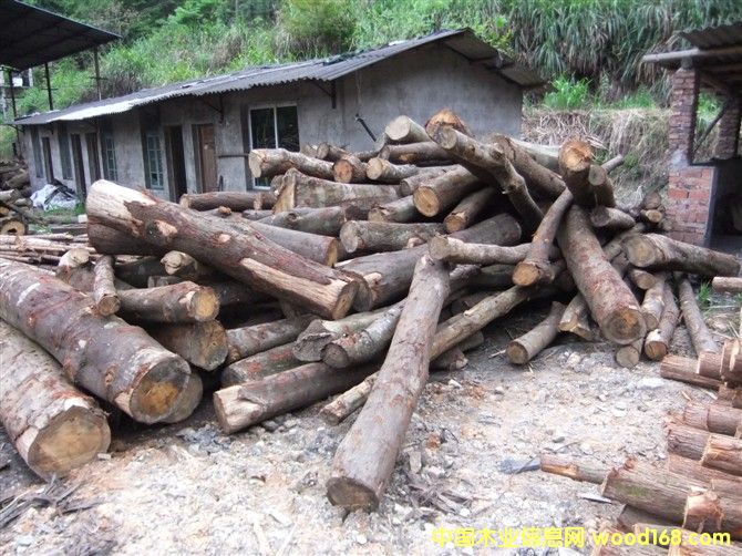 �D����ľ �c���ɷŴ�