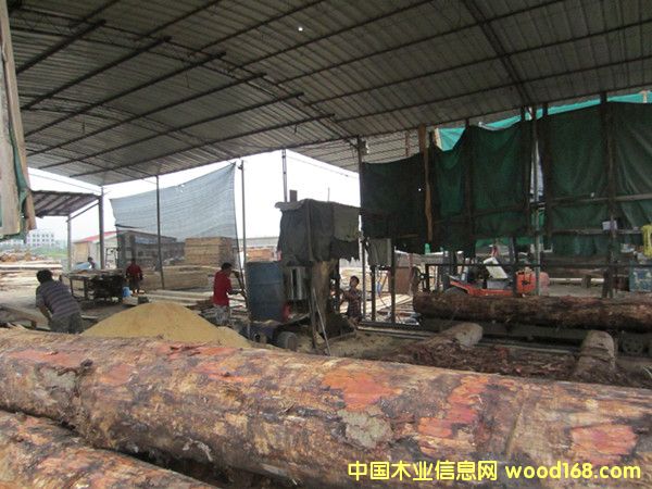 �D���S�^(q��)�������I(y��)�� �c���ɷŴ�