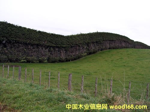 �D�������m����ؘ��� �c(di��n)���ɷŴ�