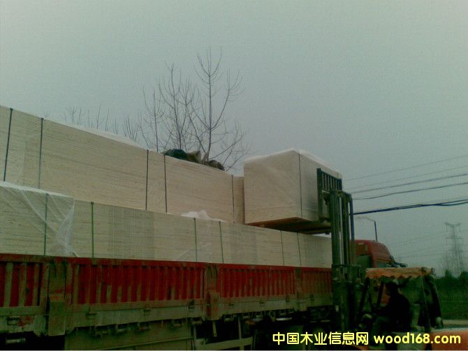 �D���b܇ �c(di��n)���ɷŴ�