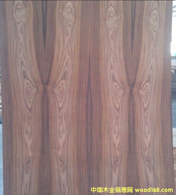 �D����֦��� �c���ɷŴ�