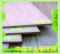 �D�����B(t��i)�� �c(di��n)���ɷŴ�