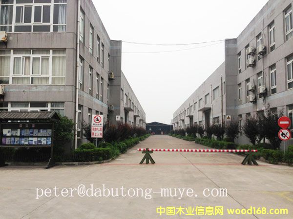 �D�����S �c(di��n)���ɷŴ�