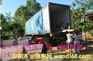 �D����~�S̴ �c(di��n)���ɷŴ�