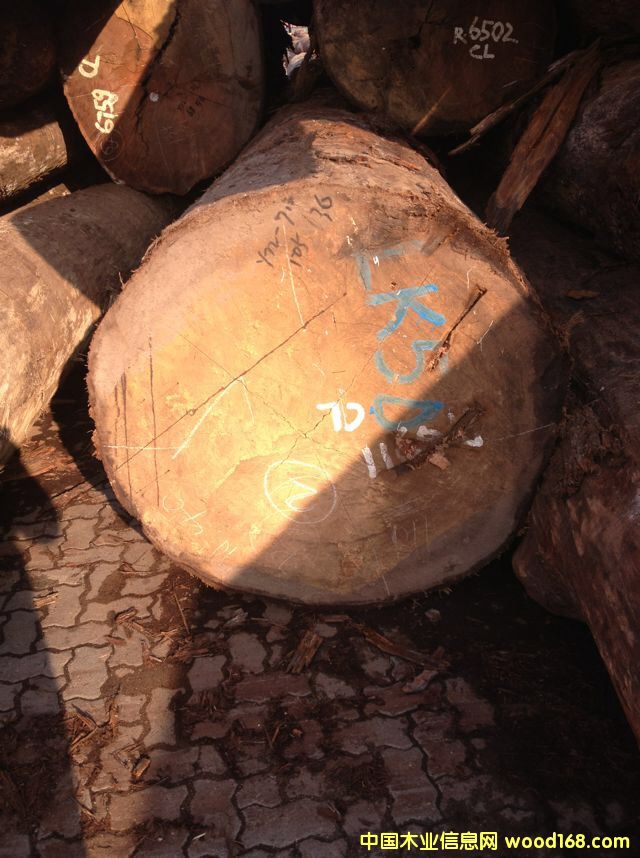 �D�����_�T(m��n) �󏽱��ǹ� �c(di��n)���ɷŴ�