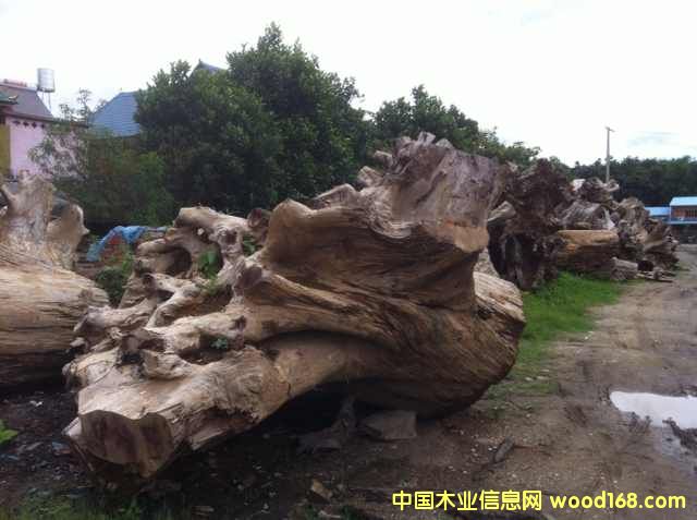 �D��؛��(ch��ng) �c(di��n)���ɷŴ�