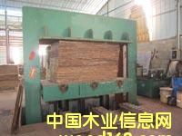 �D���ȷ�����ģ��S�� �c���ɷŴ�