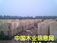 �D����ľ�ΰ� �c(di��n)���ɷŴ�