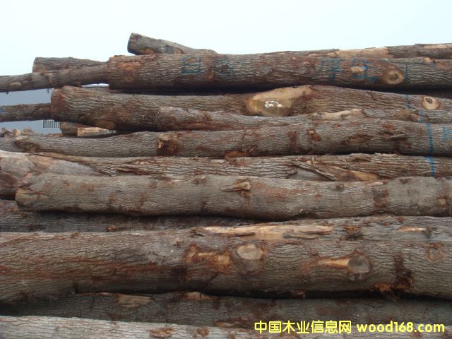 �D���W�ް��� �c(di��n)���ɷŴ�