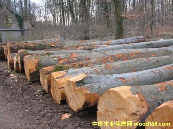 �D���W�ޙ�ľ���S���� �c(di��n)���ɷŴ�