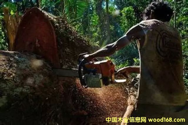 �D����������Ϣ���W(w��ng)2��8��?q��ng)?b��o)������ý�Q���Ї��¸��A�Ӳ����j���������������L(zh��ng)�|�ρ���ϡľ�ĵķǷ��Q(m��o)�ף������l(f��)���ξo������Y�Y(ji��)�ǖ|�ρ����ҵ���Ȼ�YԴ���������޴�ı��������� �c(di��n)���ɷŴ�