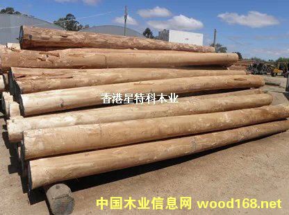 �D���Ĵ�������ľ ���� �c���ɷŴ�