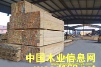 �D��ͨ�ވ@�^(q��)�ӹ� �c(di��n)���ɷŴ�