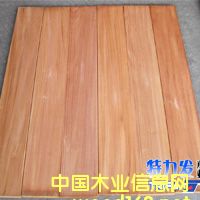 �D��2 �c(di��n)���ɷŴ�