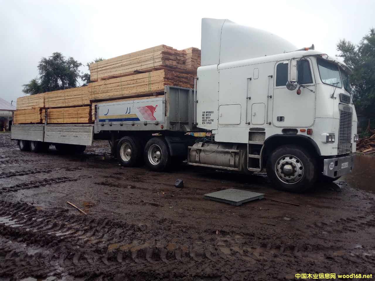 �D��؛��(ch��ng) �c(di��n)���ɷŴ�