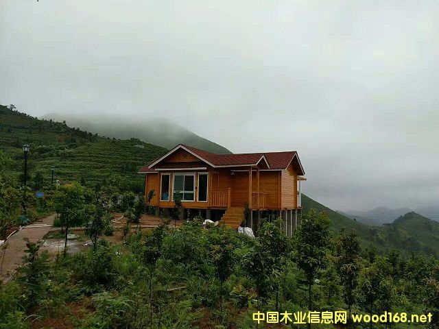 �D�����Tľ�ݺ��� �c���ɷŴ�